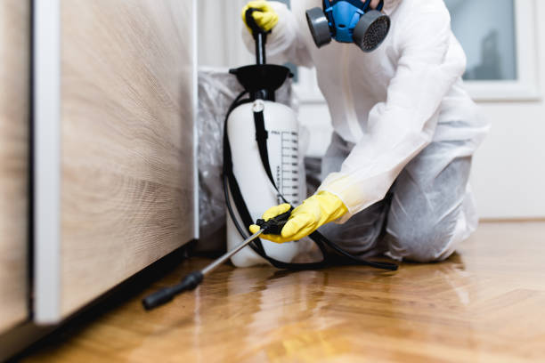 Wasp Removal Services in Earlville, IL