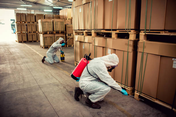 Best Termite Control Services  in Earlvle, IL