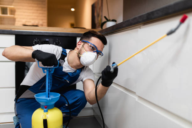 Best Pest Prevention Services  in Earlvle, IL