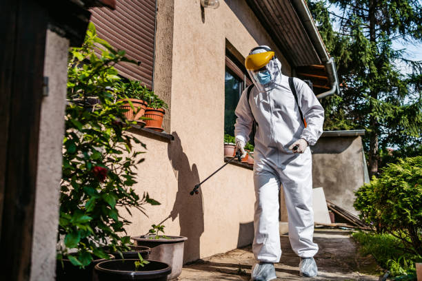 Best Exterminator Services  in Earlvle, IL
