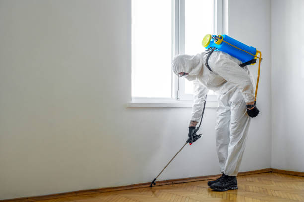 Best Best Pest Control Companies  in Earlvle, IL