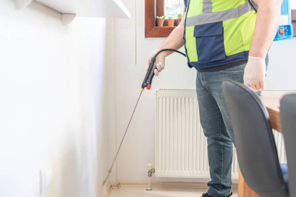 Best Wasp Removal Services  in Earlvle, IL