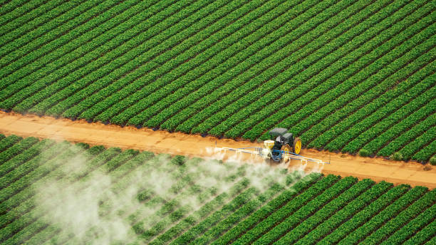 Best Ant Control Services  in Earlvle, IL